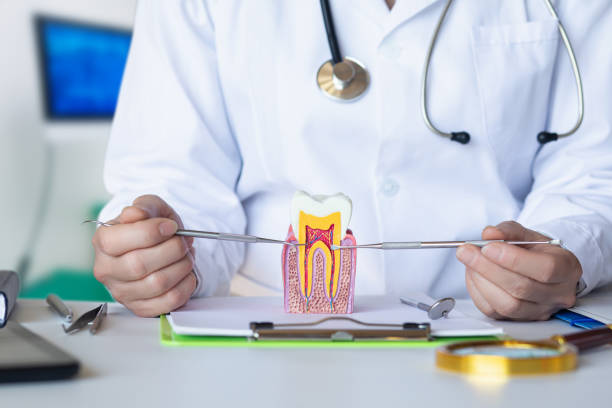 Best Emergency Dental Care for Abscessed Tooth in Akron, IN